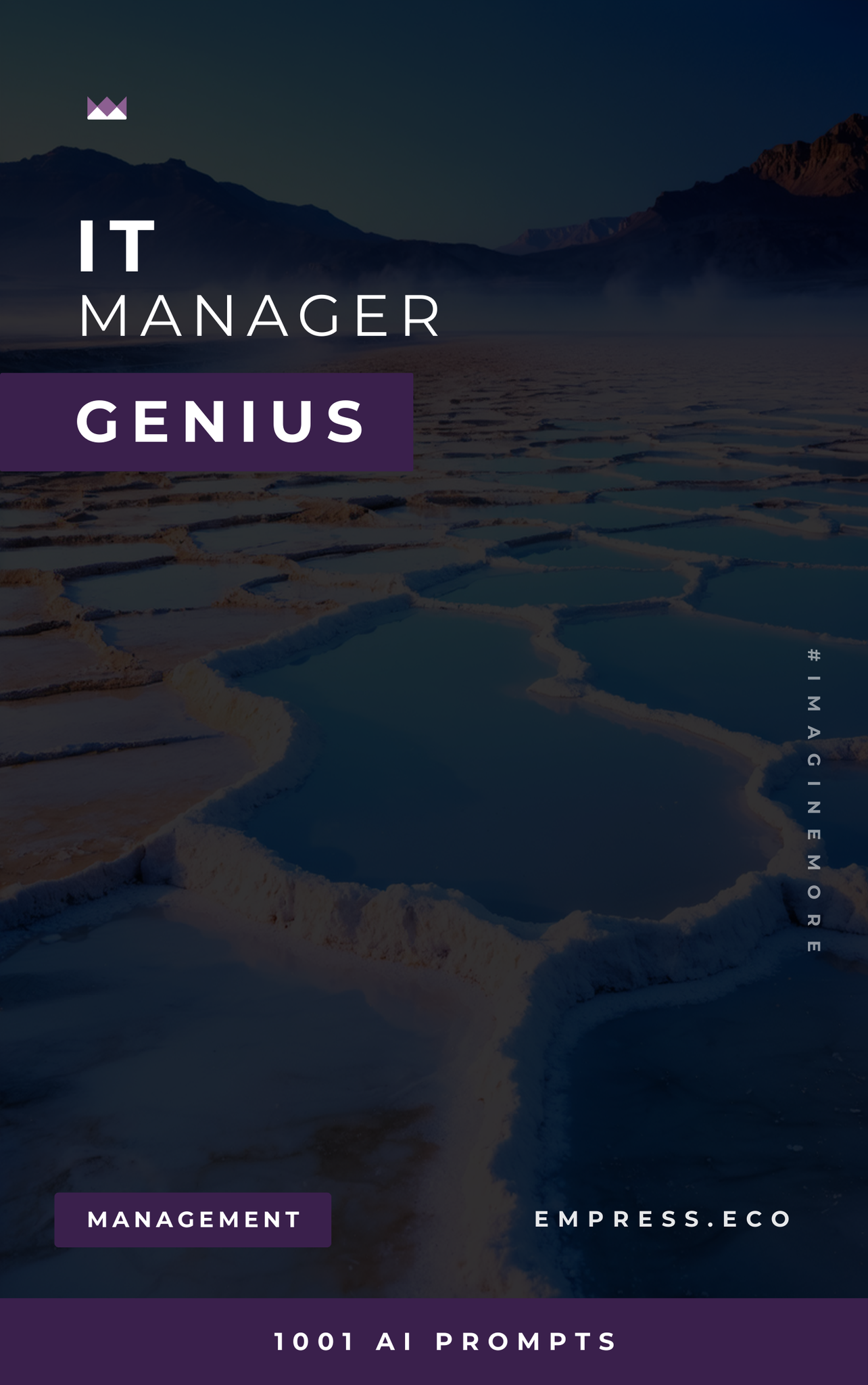 IT Manager Genius