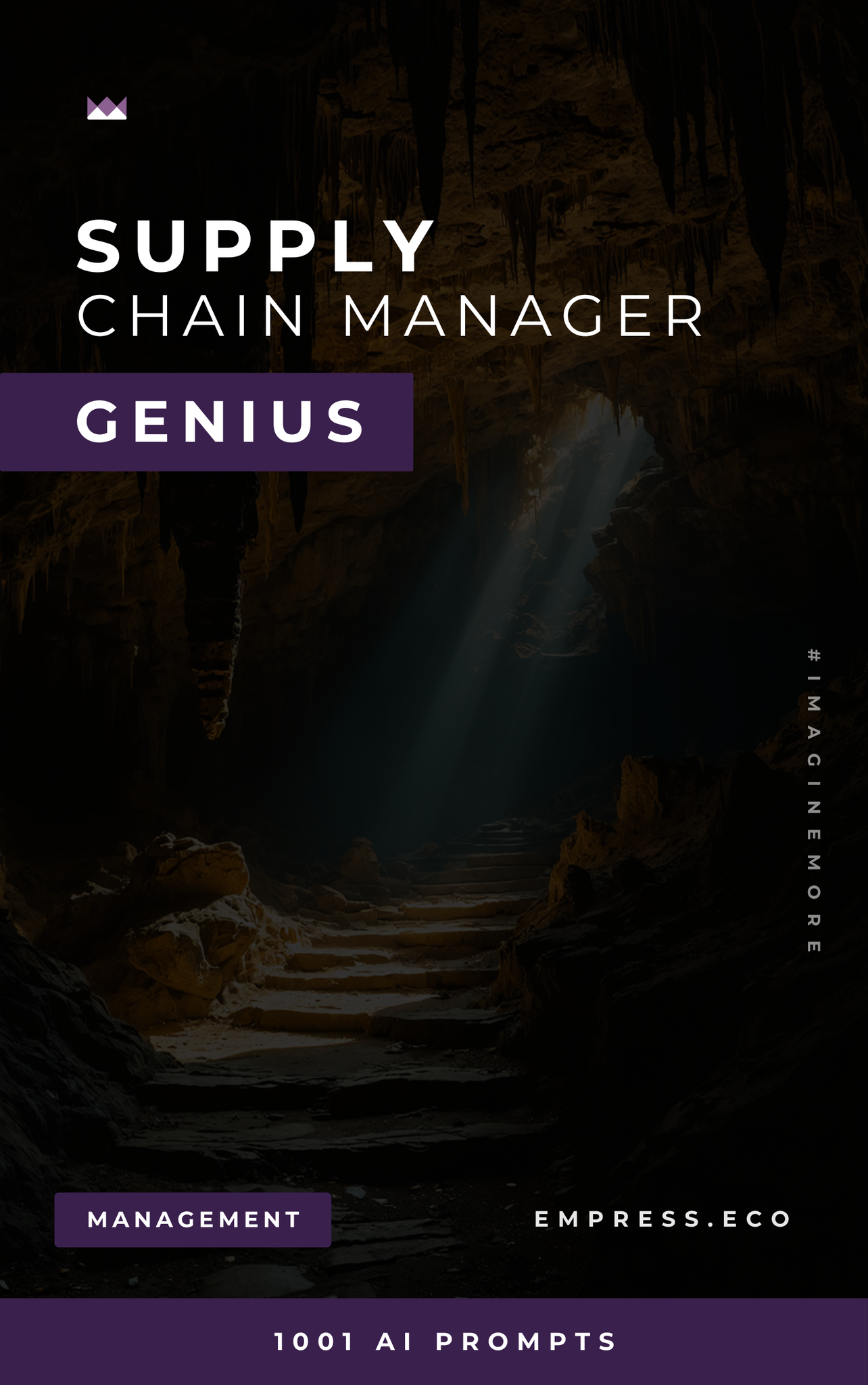 Supply Chain Manager Genius