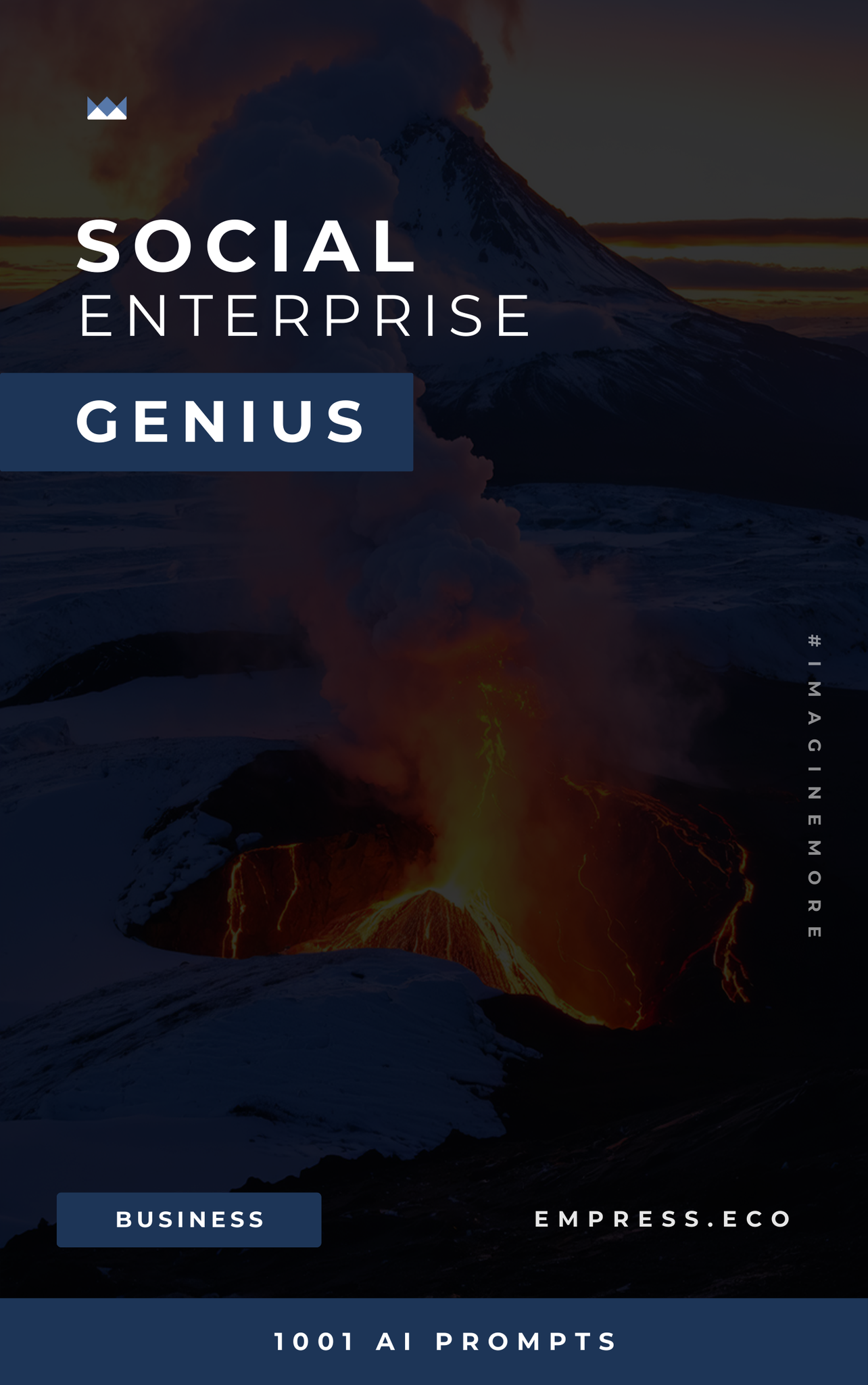 Social Enterprise Genius