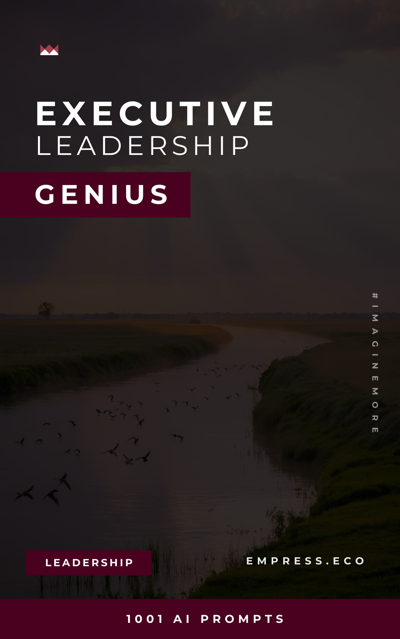 Executive Leadership Genius