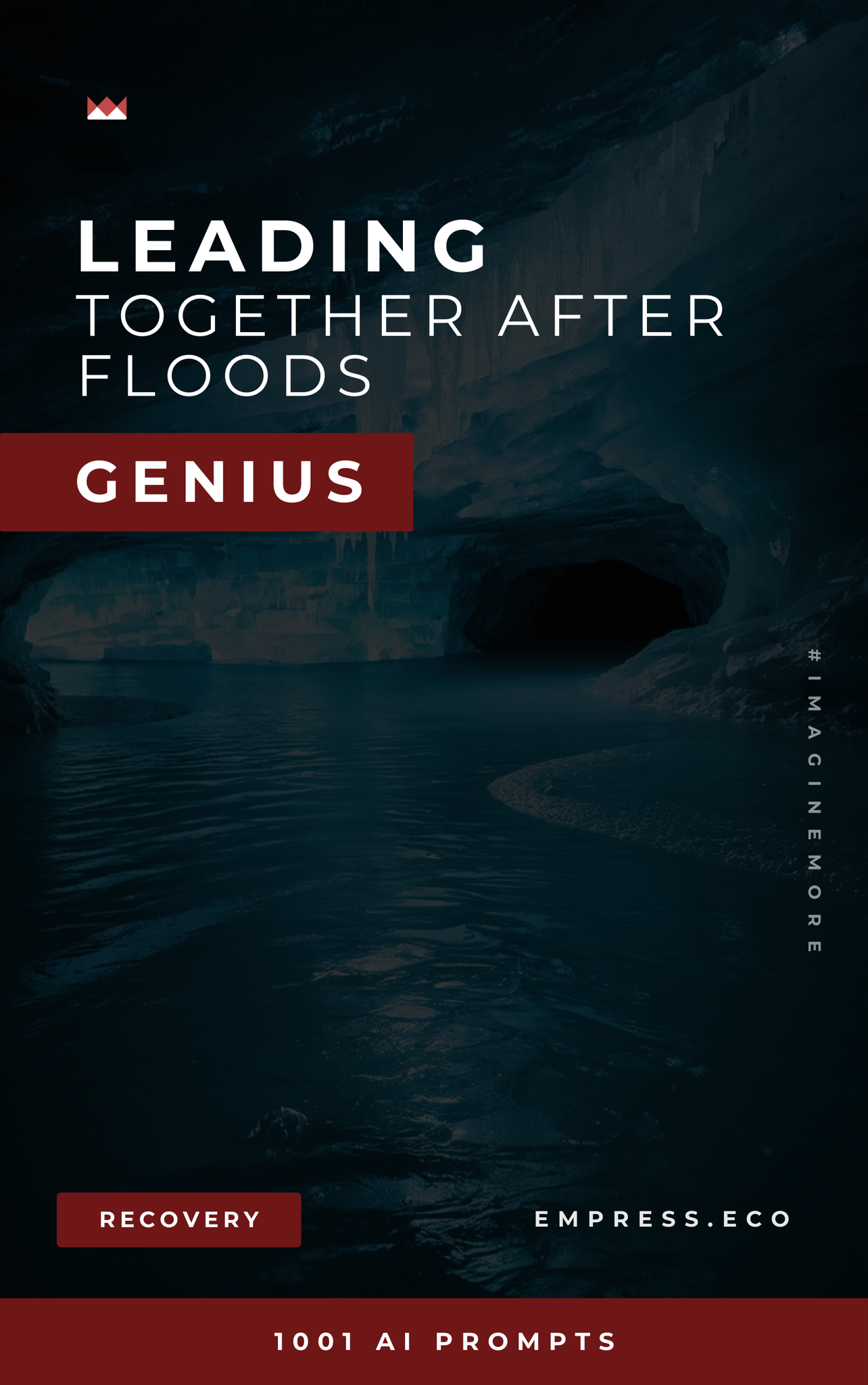 Leading Together After Floods Genius