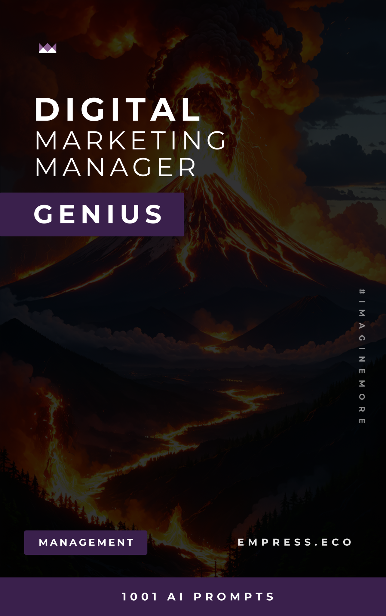 Digital Marketing Manager Genius