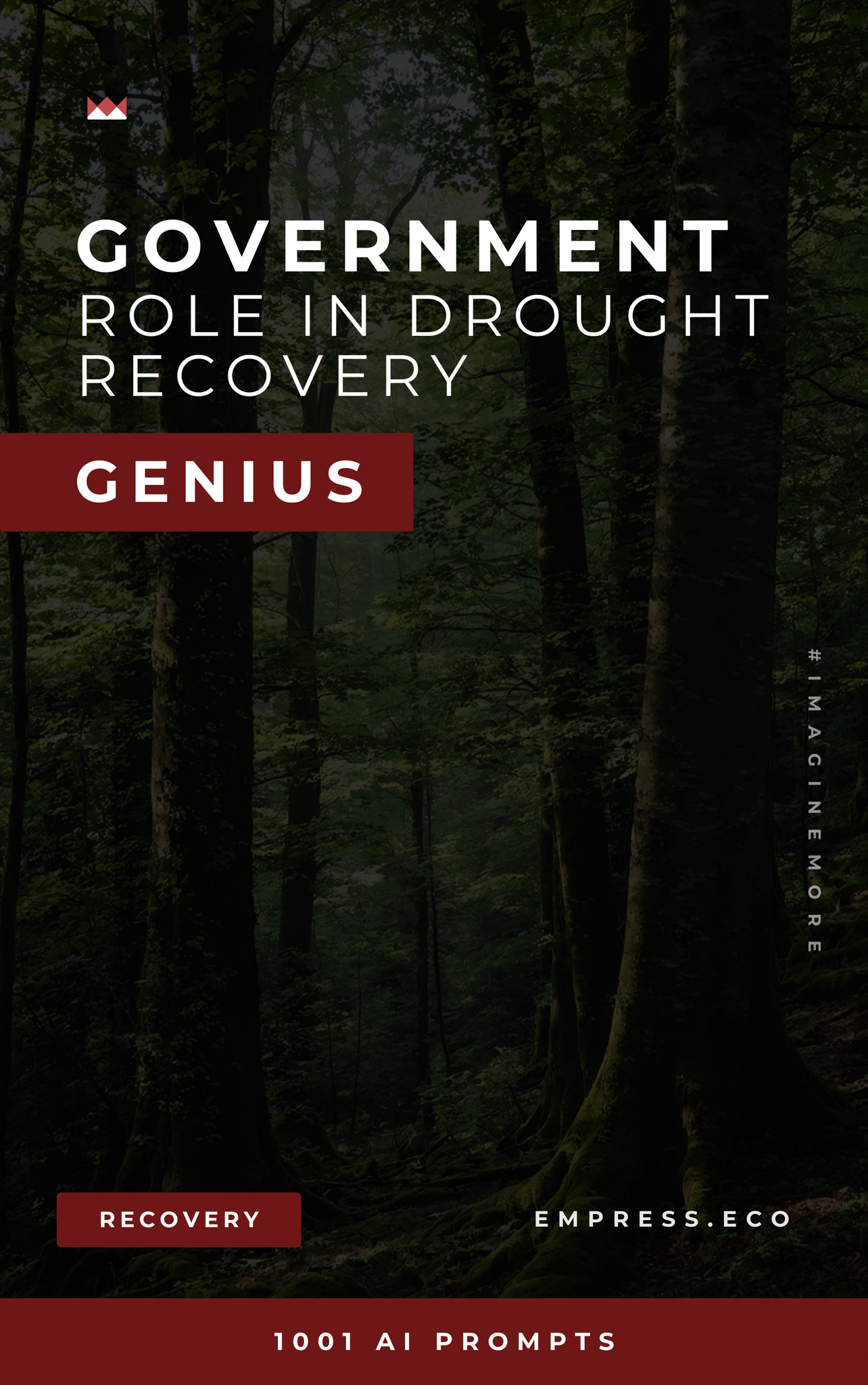 Government’s Role in Drought Recovery Genius