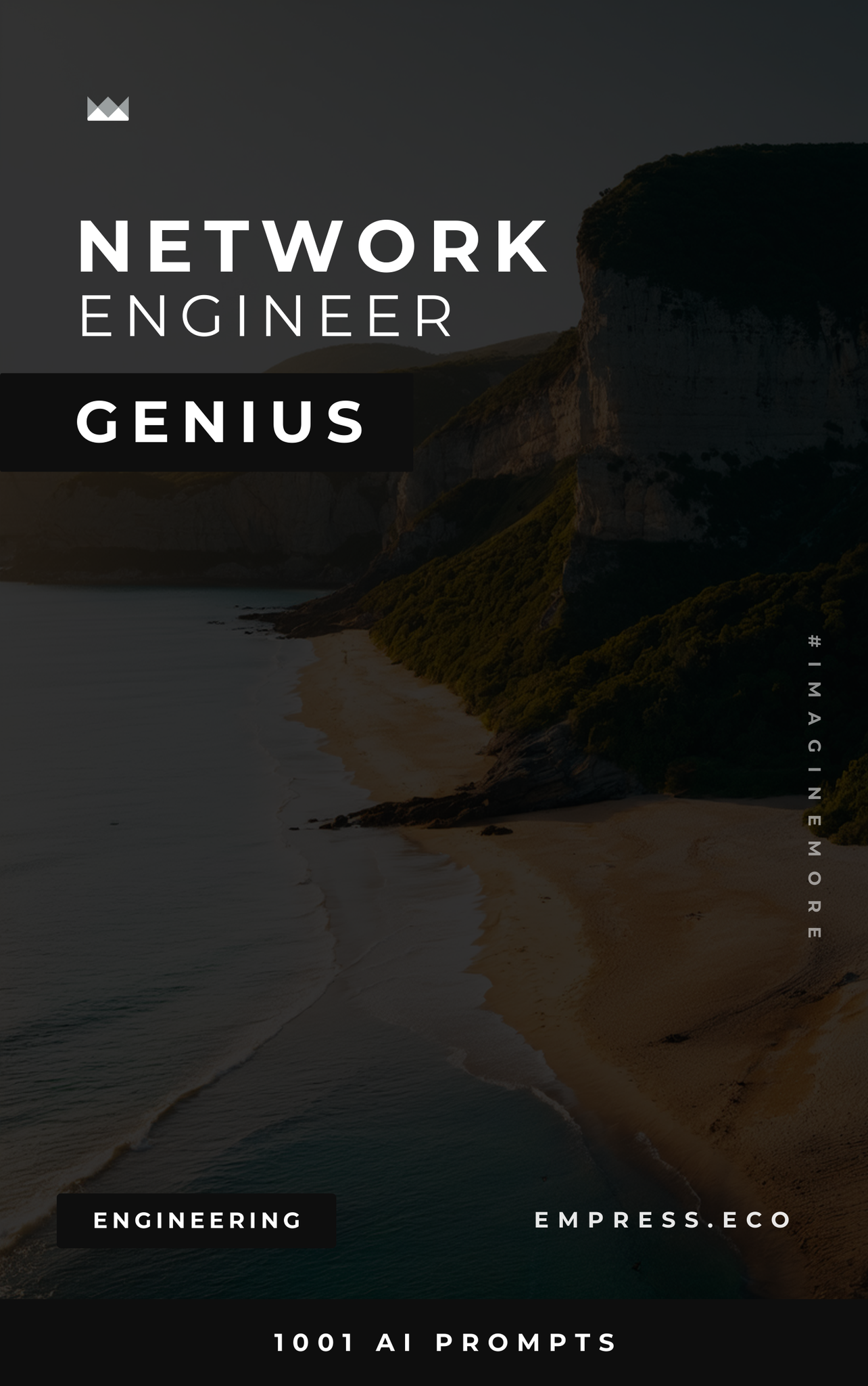 Network Engineer Genius