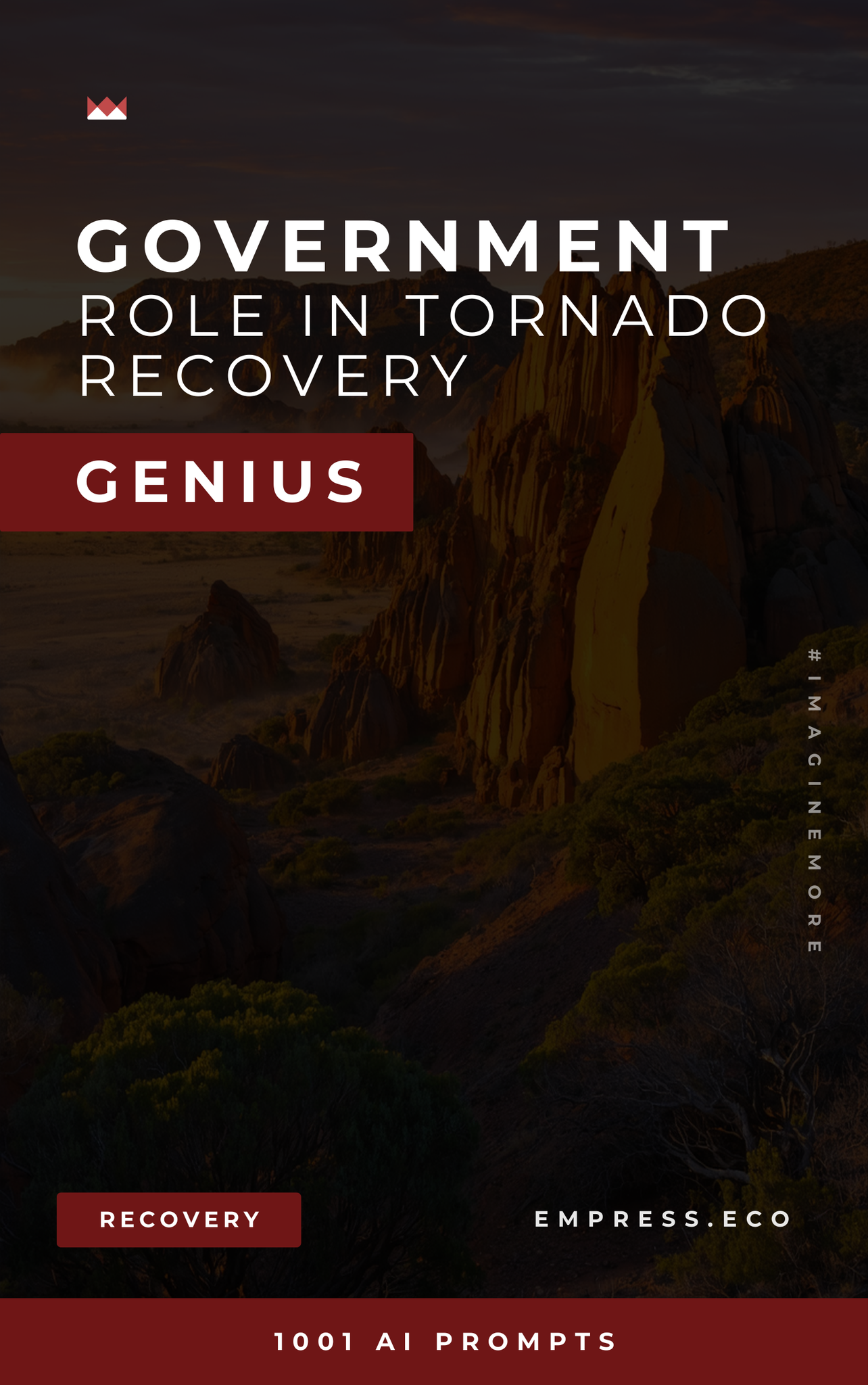 Government’s Role in Tornado Recovery Genius