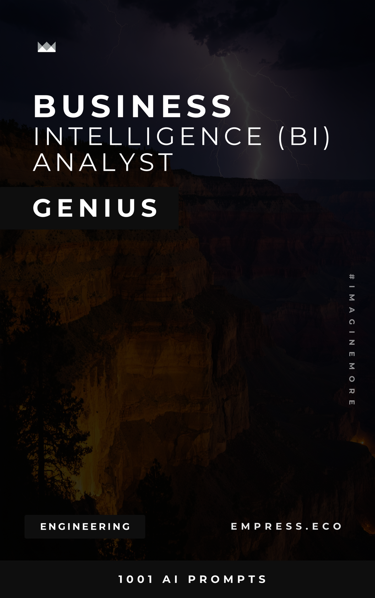 Business Intelligence (BI) Analyst Genius